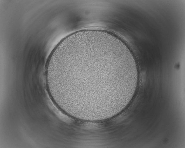 X0000115501470200912041027