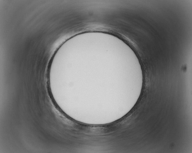 X0000115501471200912041027