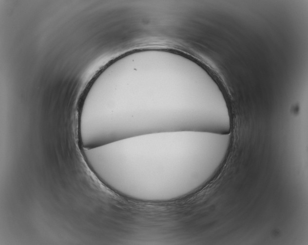 X0000115501472200912041027