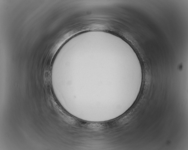 X0000115501473200912041027