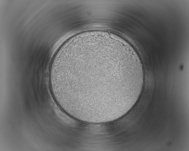 X0000115501474200912041027