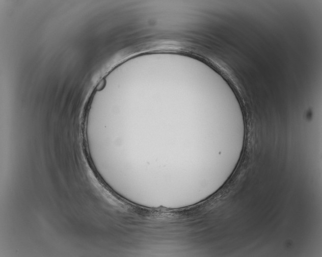 X0000115501475200912041027