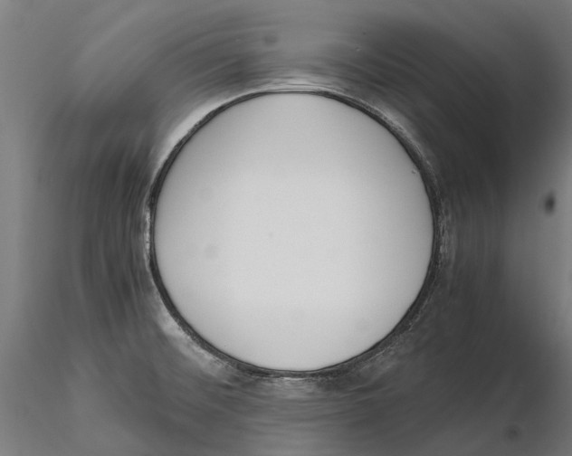 X0000115501476200912041027