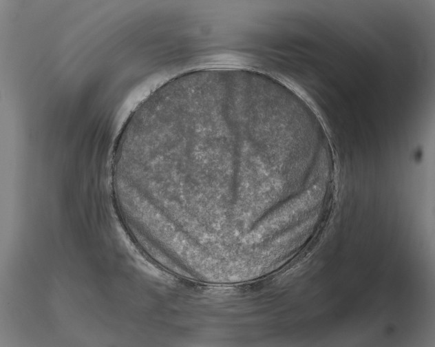 X0000115501477200912041027