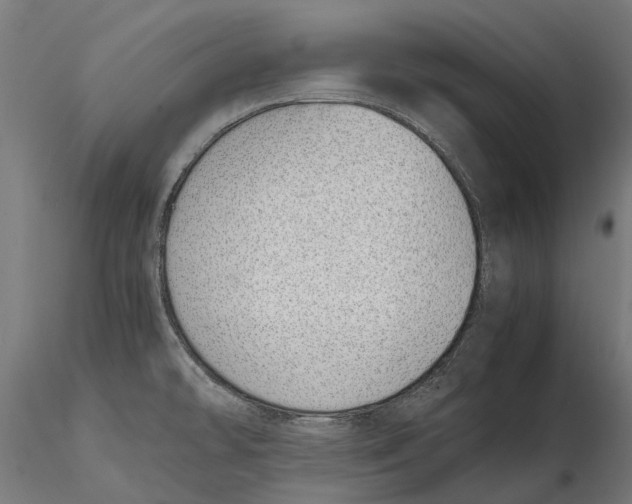 X0000115501478200912041027