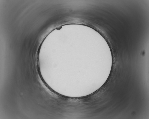 X0000115501479200912041027
