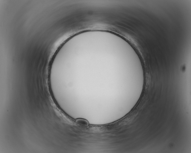 X0000115501480200912041027