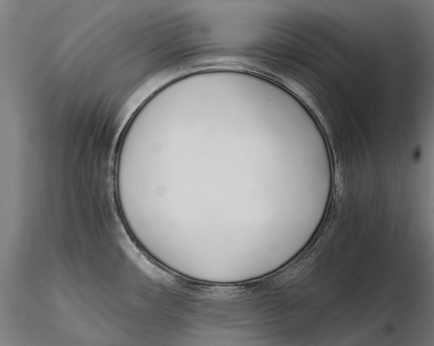 X0000115501482200912041027