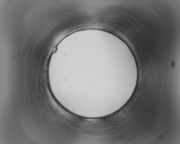 X0000115501483200912041027