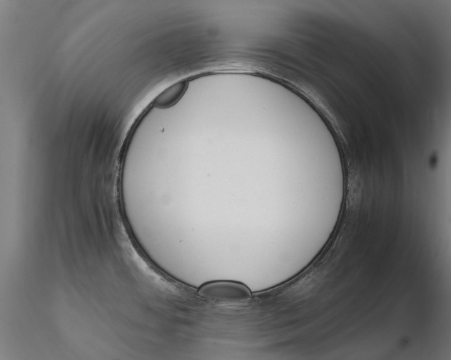 X0000115501484200912041027