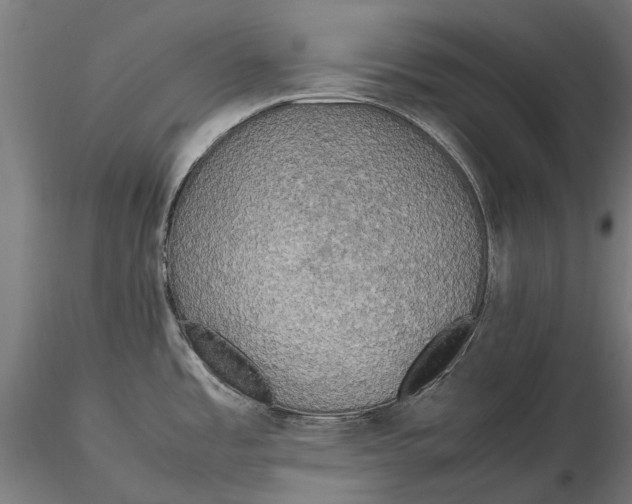 X0000115501485200912041027