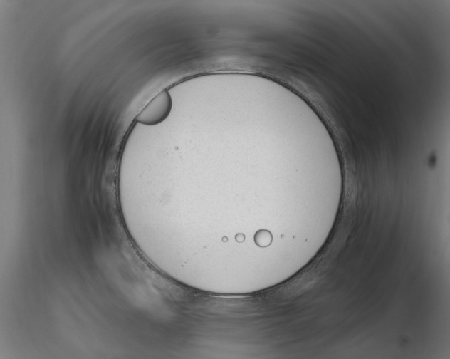 X0000115501486200912041027