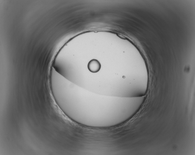 X0000115501488200912041027