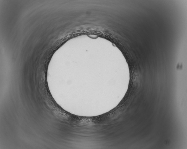 X0000115501489200912041026