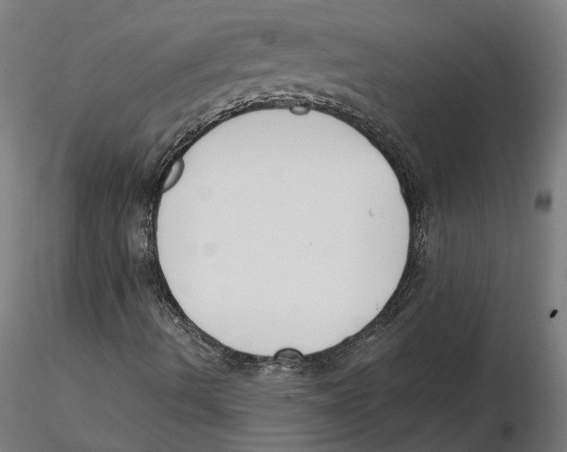 X0000115501490200912041026