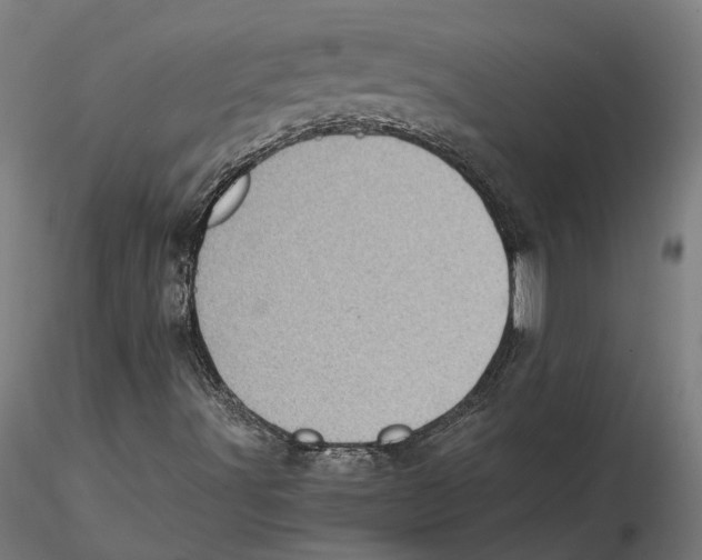 X0000115501491200912041026