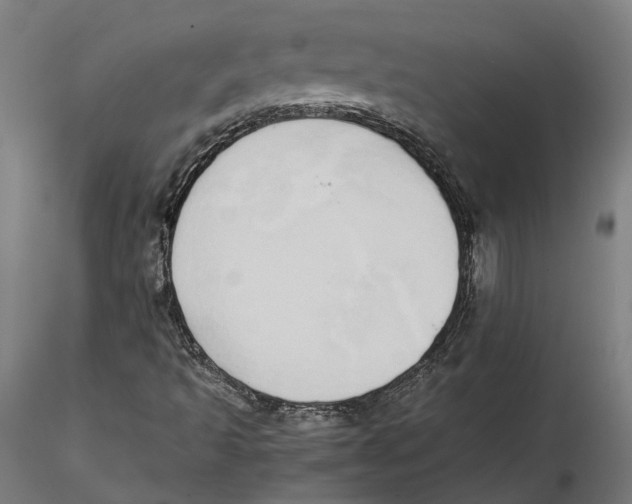 X0000115501493200912041026