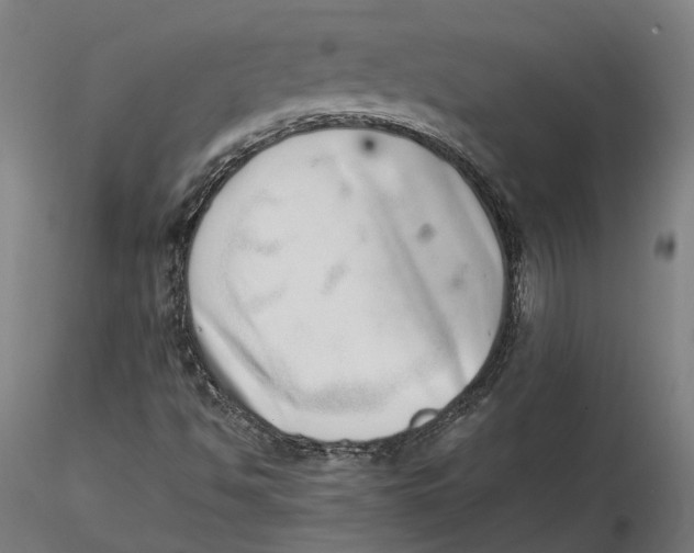 X0000115501494200912041026