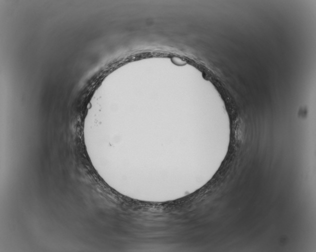 X0000115501495200912041026