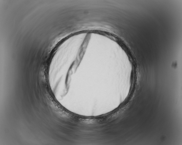 X0000115501497200912041026