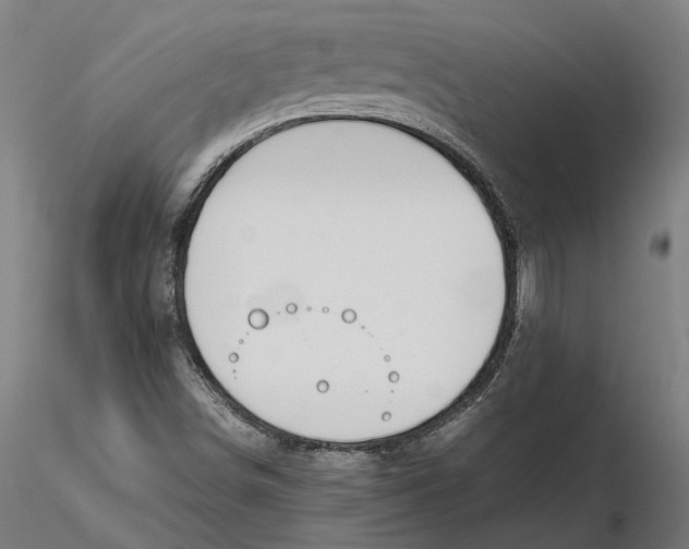X0000115501498200912041026