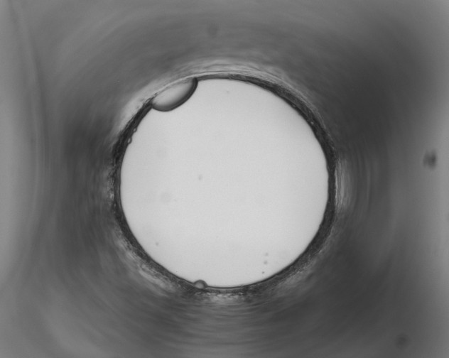 X0000115501501200912041026