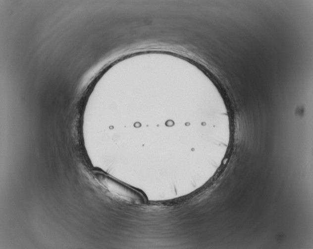 X0000115501502200912041026