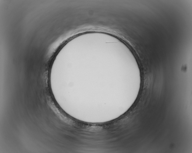 X0000115501503200912041026