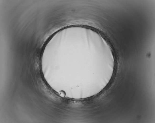 X0000115501505200912041026