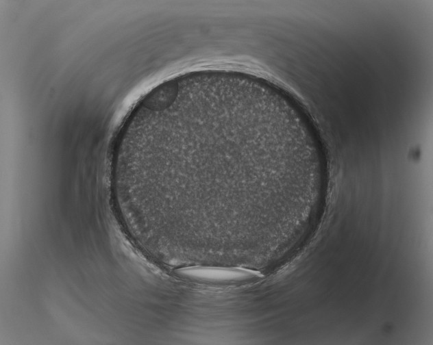 X0000115501506200912041026