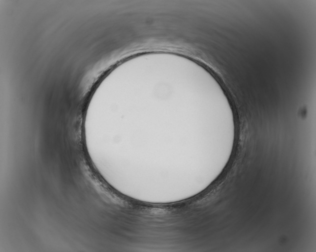 X0000115501507200912041026