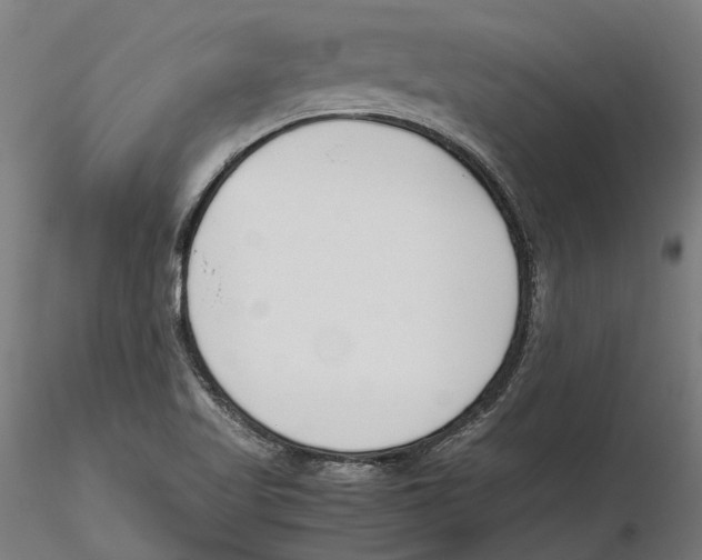 X0000115501509200912041026