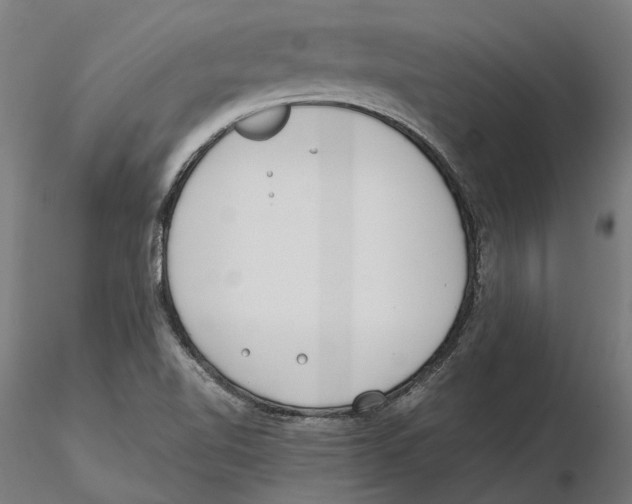 X0000115501510200912041026