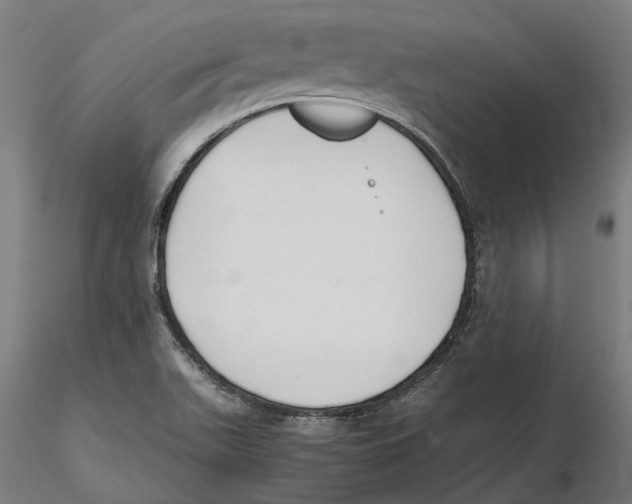 X0000115501511200912041026