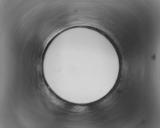 X0000115501513200912041026