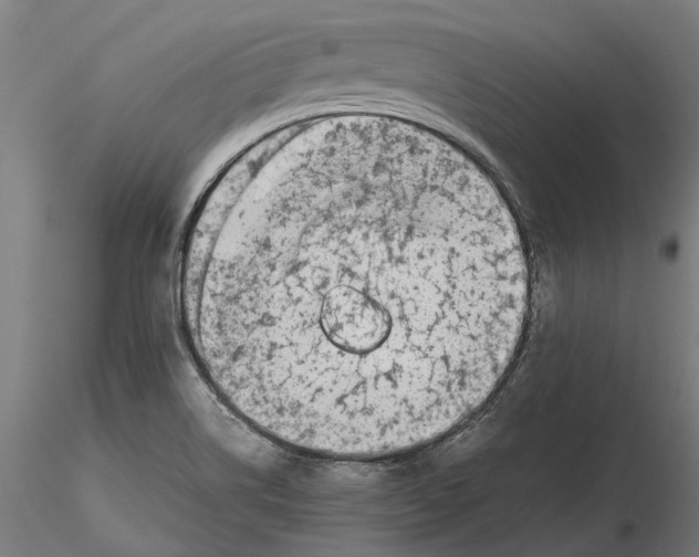 X0000115501514200912041026