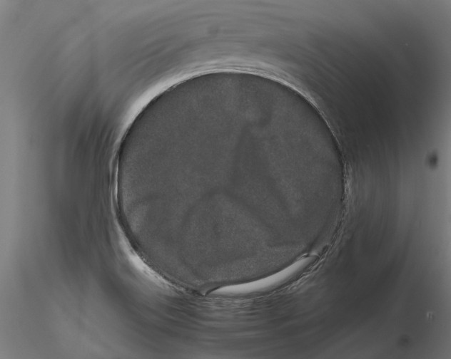 X0000115501515200912041026