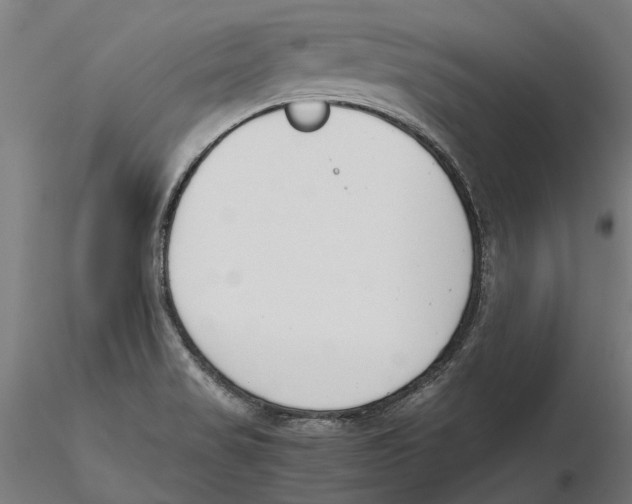 X0000115501517200912041026