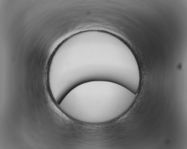 X0000115501518200912041026