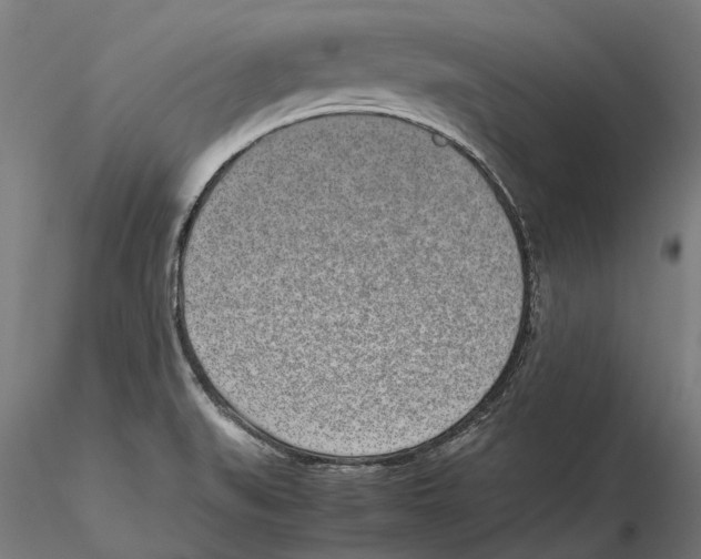 X0000115501519200912041026