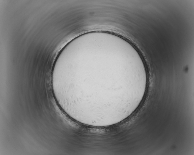 X0000115501521200912041026