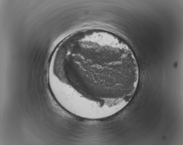 X0000115501522200912041026