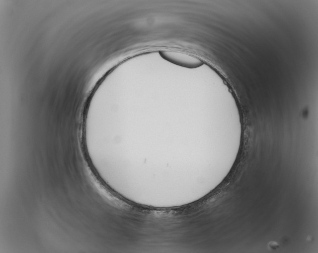 X0000115501523200912041026