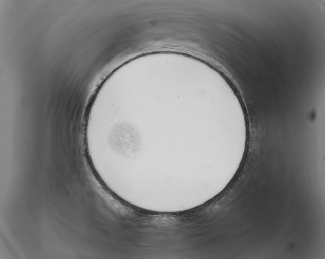 X0000115501525200912041026