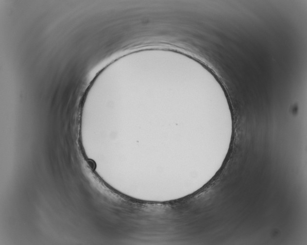 X0000115501526200912041026