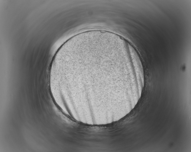X0000115501527200912041026