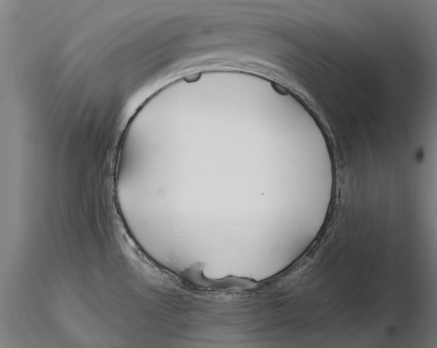 X0000115501530200912041026