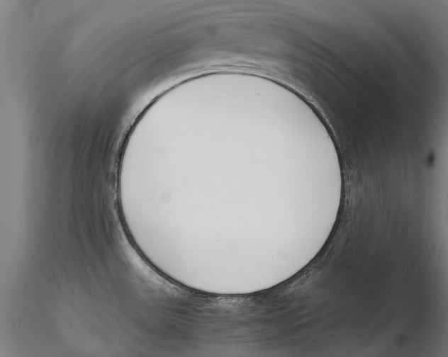 X0000115501531200912041026