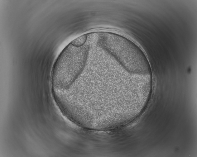 X0000115501533200912041027
