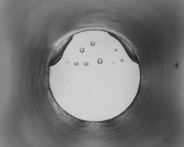 X0000115501534200912041027